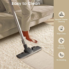 Area Rugs for Bedroom, Christmas Upgrade Non-Slip Ivory Fluffy Soft Shag Living Room Carpet, Indoor Floor 4x6 Fuzzy Shaggy Living Room Plush Nursery Rug for Kids Home Dorm Decor Aesthetic